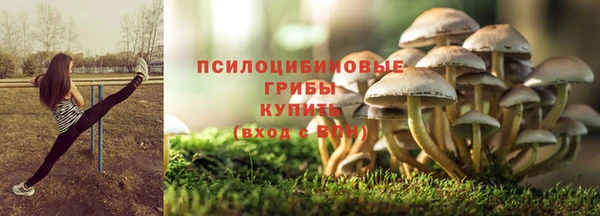 мяу мяу кристалл Горно-Алтайск